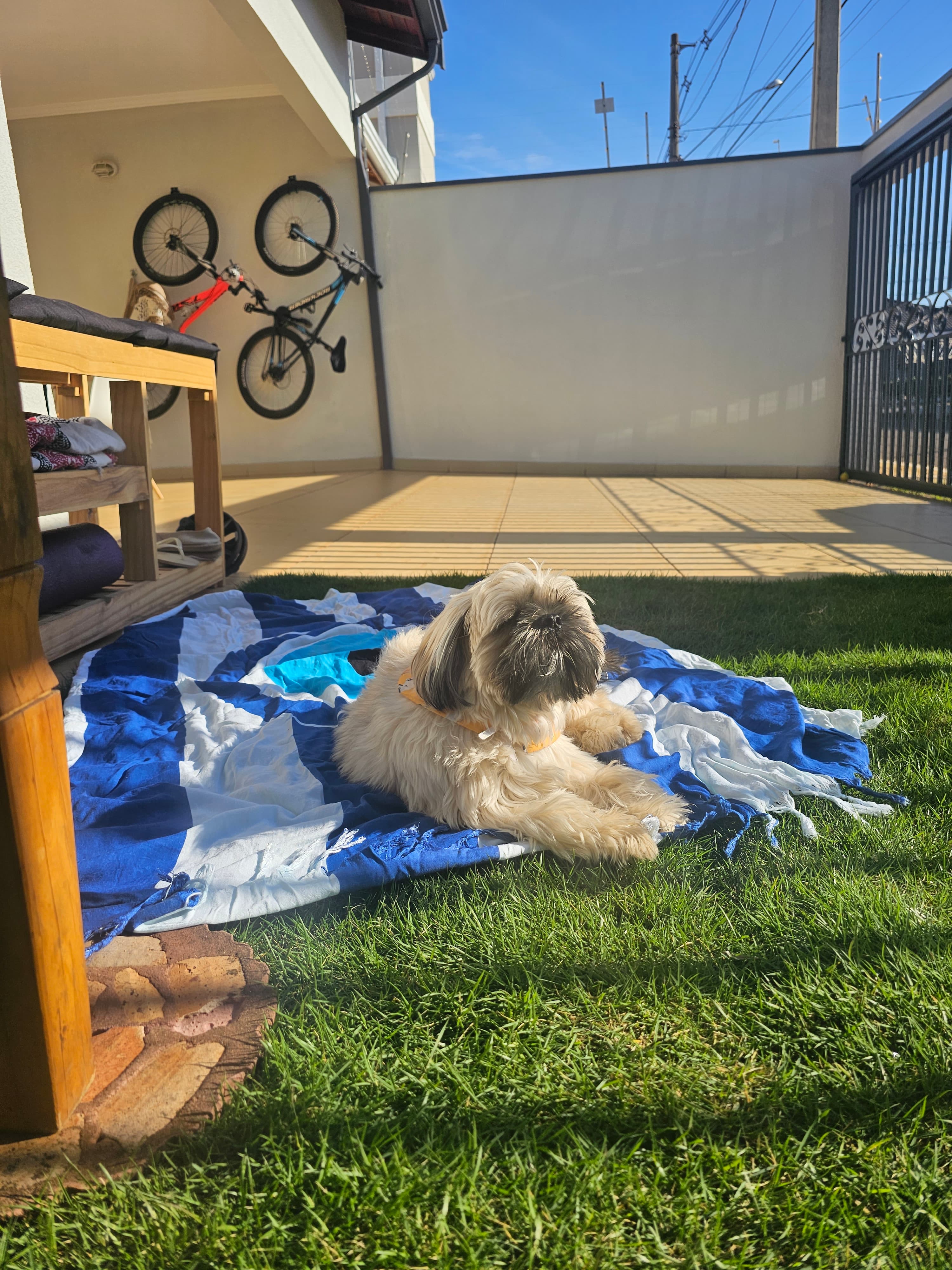 Protetor solar pro Eevee